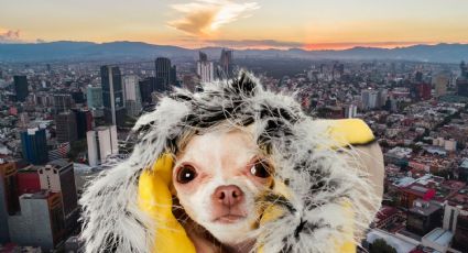 La Niña en México: ¿qué efectos tendrá en el clima este enero?