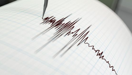 Sismo en Japón sacude central nuclear; no se reportan daños ni tsunami