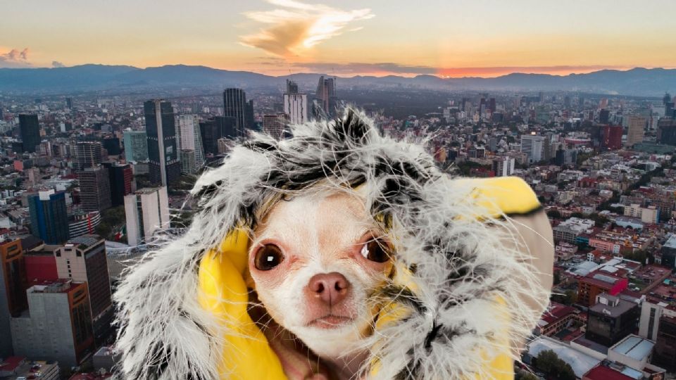 Este comportamiento no está directamente relacionado con el calentamiento global, sino con oscilaciones climáticas naturales.