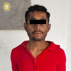 Detienen a indigente cuando hacía esto con un perro en Insurgentes Norte