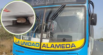 Detienen a dos menores por vandalizar camión urbano en Escobedo