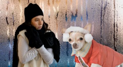 Hasta 5 grados y lluvias fuertes: Así impactará el frente frío 27 en Nuevo León