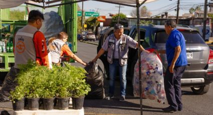 Guadalupe reactiva programa de reciclaje con intercambio de plantas