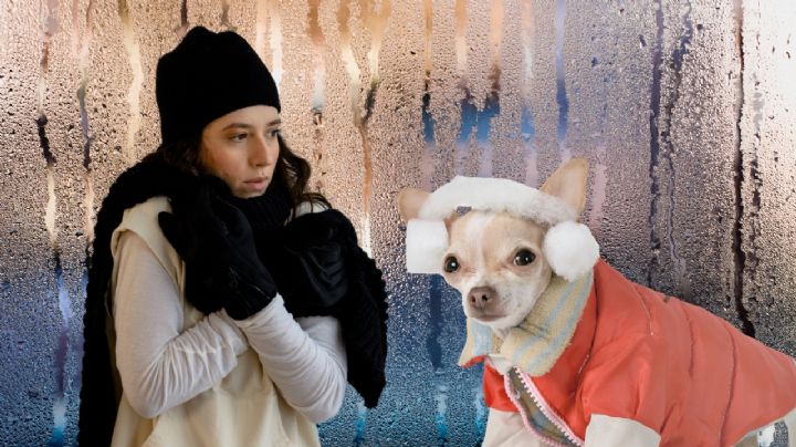 Hasta 5 grados y lluvias fuertes: Así impactará el frente frío 27 en Nuevo León