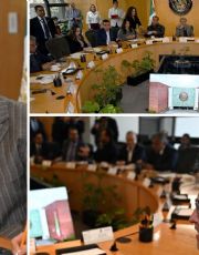 Foto descriptiva de: Monedas conmemorativas del Mundial, aprobarán diputados federales