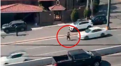 Liberan a conductora tras el atropello de la mujer que se lanzó a la avenida Leones en Monterrey