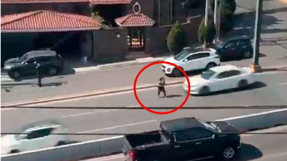 Autoridades liberaron a la conductora involucrada en el atropello ocurrido en Paseo de los Leones.