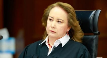 Yasmín Esquivel defiende la prevalencia de los lazos familiares sobre la verdad biológica