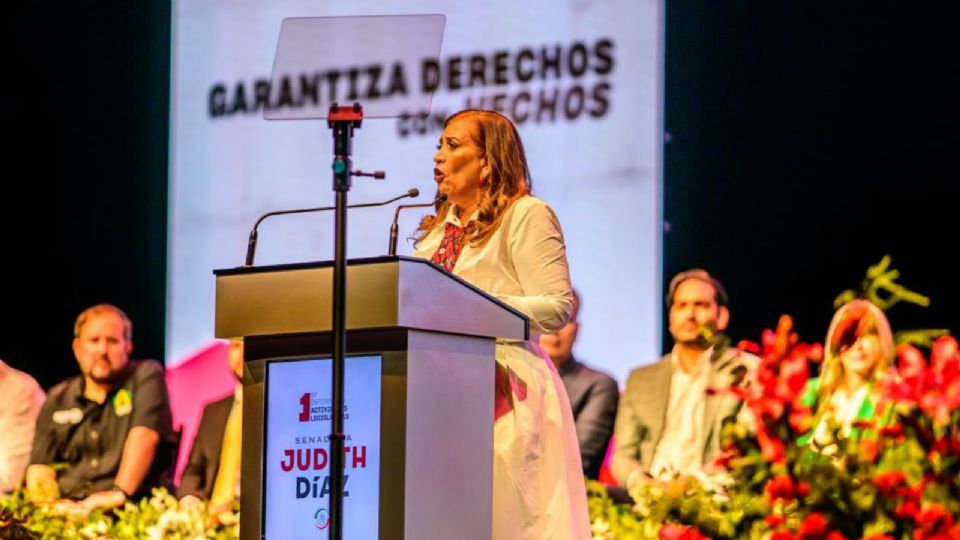 Judith Díaz informó que se recupera de una cirugía de columna y que estará temporalmente fuera del Senado; su suplente Rosa Fierro Campos ya asumió funciones.
