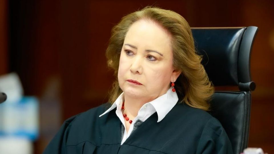 La ministra sostuvo que la verdad biológica no debe ser el único elemento rector en los procesos filiatorios.