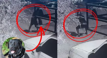 VIDEO | Captan a hombre azotando a un perro contra el pavimento en General Zuazua, Nuevo León