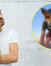 Foto descriptiva de: ¿Qué es Therian? El fenómeno viral que sacude las redes sociales