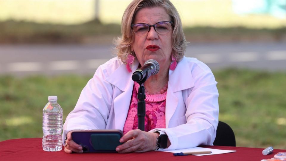 La funcionaria explicó que hasta este lunes, se tiene registro de 263 casos confirmados.