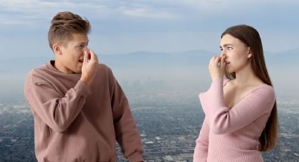 ¿Por qué el Hoy No Circula no sirve? La cruda realidad de la contingencia ambiental