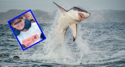 Tiburón muerde a nieto de Lupita D’Alessio en Tulum y enciende alerta por ataques cerca de la orilla