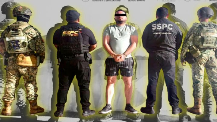 'No podemos normalizar vivir en un estado con este tipo de violencia': Elizabeth Montoya