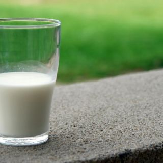 Llevan programa de Abasto Social de Leche para el Bienestar para sectores obrero y campesino