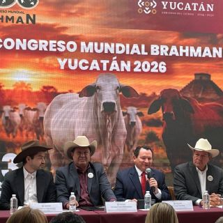 Yucatán será sede del XXII Congreso Mundial Brahmán 2026