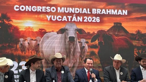 Yucatán será sede del XXII Congreso Mundial Brahmán 2026