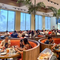 Acapulco alcanza el 53% de ocupación hotelera en el inicio del Abierto Mexicano de Tenis