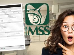 Tarjetón Digital del IMSS 2026: ¿Quiénes deben tramitarlo y cómo evitar filas si eres pensionado?