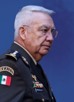 ¿Nexos con el CJNG? La verdad tras la foto de Ricardo Trevilla y 'El Inge' en Michoacán