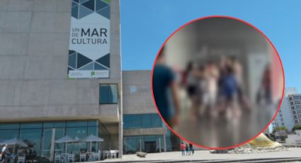 VIDEO | De las artes a los golpes: Se viraliza pelea en Museo de Mar del Plata