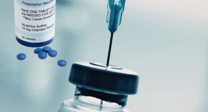 Mario Zamora propone legalizar la amapola medicinal en Sinaloa para combatir la violencia