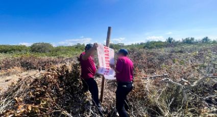 Profepa aplica clausura temporal en predio de Chelem Puerto por falta de autorizaciones ambientales
