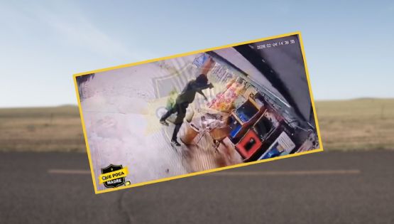 VIDEO | Asaltan negocio en carretera de Veracruz con arma de fuego