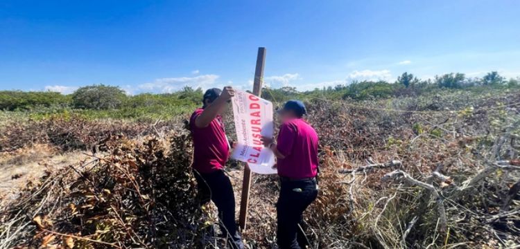 Profepa aplica clausura temporal en predio de Chelem Puerto por falta de autorizaciones ambientales