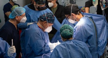 Sinaloa avanza como punta de lanza nacional en trasplantes de órganos