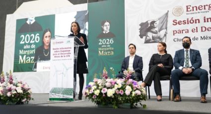 SENER y CFE lanzan esquemas de inversión mixta para generar electricidad