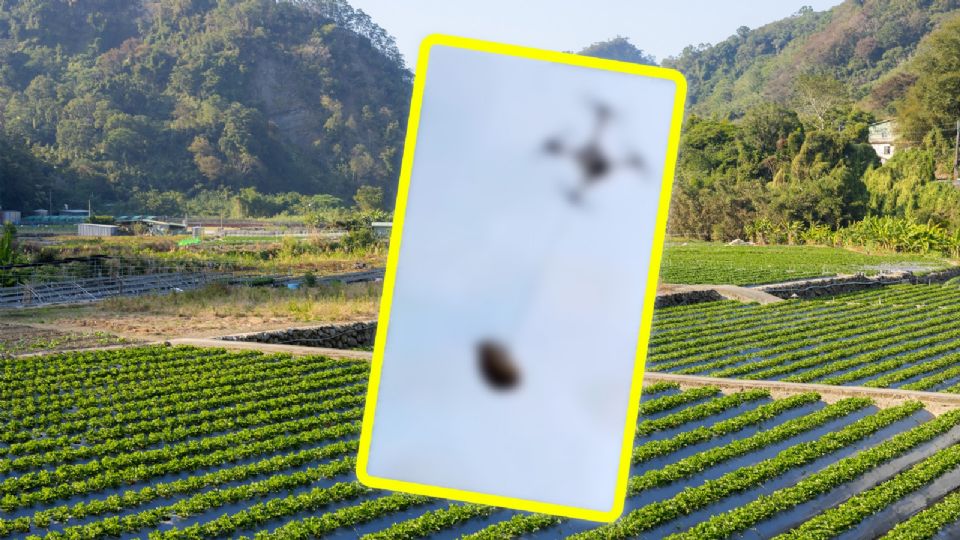 El dron pudo haber sido operado en una zona restringida para vuelos no autorizados.