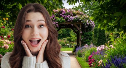 Jardín del Buen Amor CDMX: fechas, horarios y cómo vivir la experiencia GRATIS