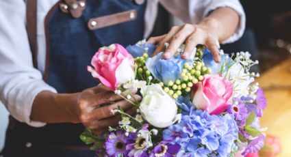 ¿Dónde comprar flores en Monterrey ESTE 14 de febrero?