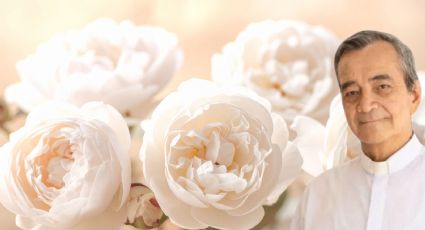 ¿Qué le pasó al padre Juan Manuel Zavala? Esto dice el Episcopado sobre el sacerdote en Chiapas