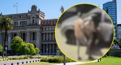 VIDEO | ’Tengo hijos, pana’: Así fue el dramático asalto a conductor en su auto