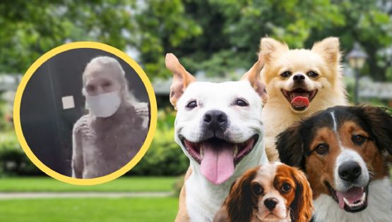 Caso Abuela Mataperros: quién es y por qué quedó libre tras la muerte de Moni en Coyoacán