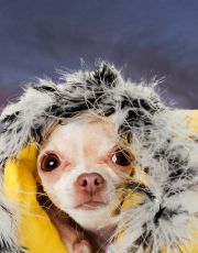 Foto descriptiva de: Clima en Monterrey lunes 16 de marzo: ¿A qué hora llegará el frente frío 41 a Nuevo León?