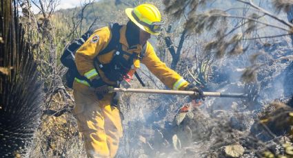 Vientos de hasta 50 km/h y calor extremo azotarán NL; Protección Civil emite aviso preventivo
