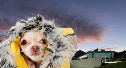 Clima en Monterrey lunes 16 de marzo: ¿A qué hora llegará el frente frío 41 a Nuevo León?