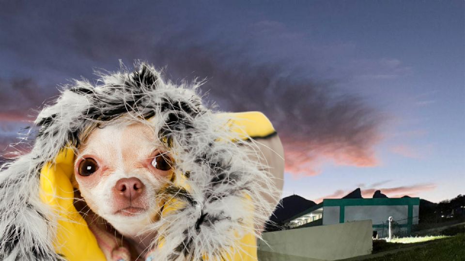 El frente frío número 41 provocará un descenso de más de 20 grados en Monterrey para este lunes 16 de marzo, con temperaturas máximas de 20°C y mínimas de 10°C.