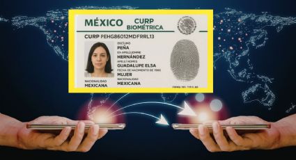 ¿Cómo activar la CURP Biométrica en WhatsApp?