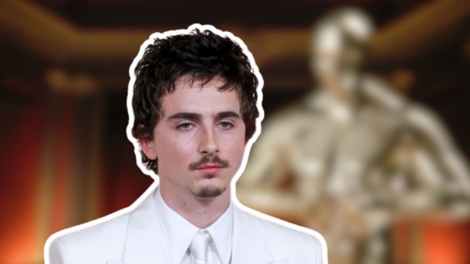 Timothée Chalamet, considerado por expertos como el actor más importante de su generación, se encuentra en el ojo del huracán tras una serie de declaraciones.