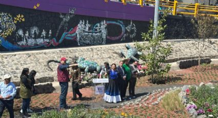 Instalan primer Jardín de Lluvia en el Azteca, serán 160 en toda la ciudad