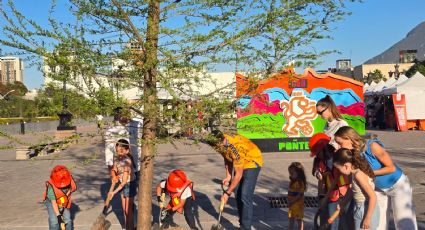 NL llega al millón de árboles; así avanza el plan “Bosques Ciudadanos”