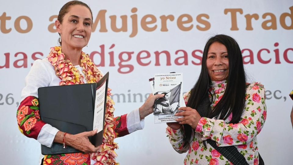 La mandataria admitió que el proceso fue complejo para buscar a todas las mujeres que hablan cada una de las lenguas para poder traducir.