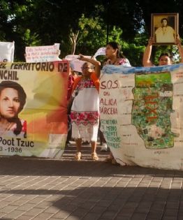 Habitantes de Yucatán denuncian devastación ambiental y exigen revisar permisos a inmobiliarias
