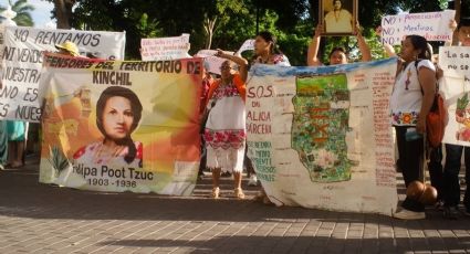 Habitantes de Yucatán denuncian devastación ambiental y exigen revisar permisos a inmobiliarias